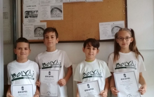 Bolyai Anyanyelvi Csapatverseny